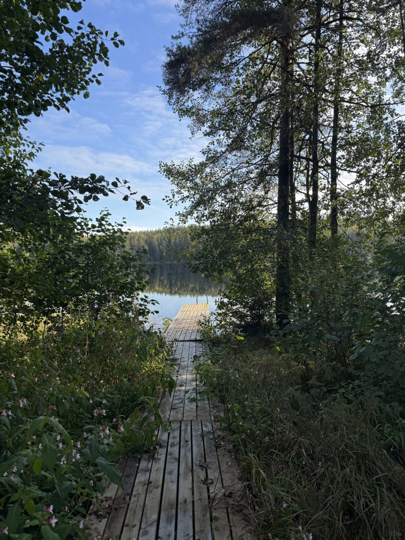 Частный дом Ретро-дача в Карельской деревне
