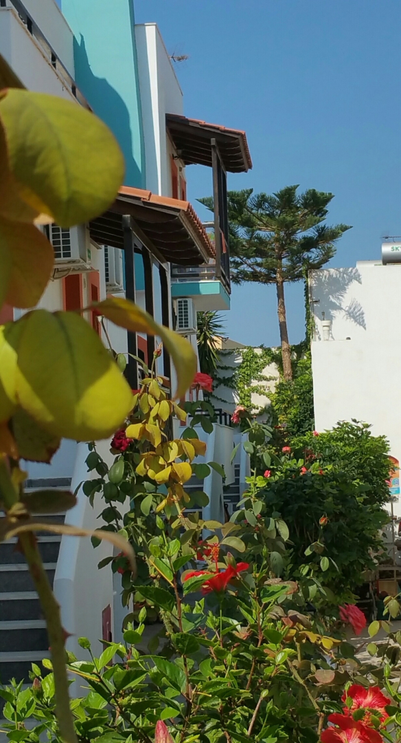 Апарт-Отель Creta Mar-Gio Apts