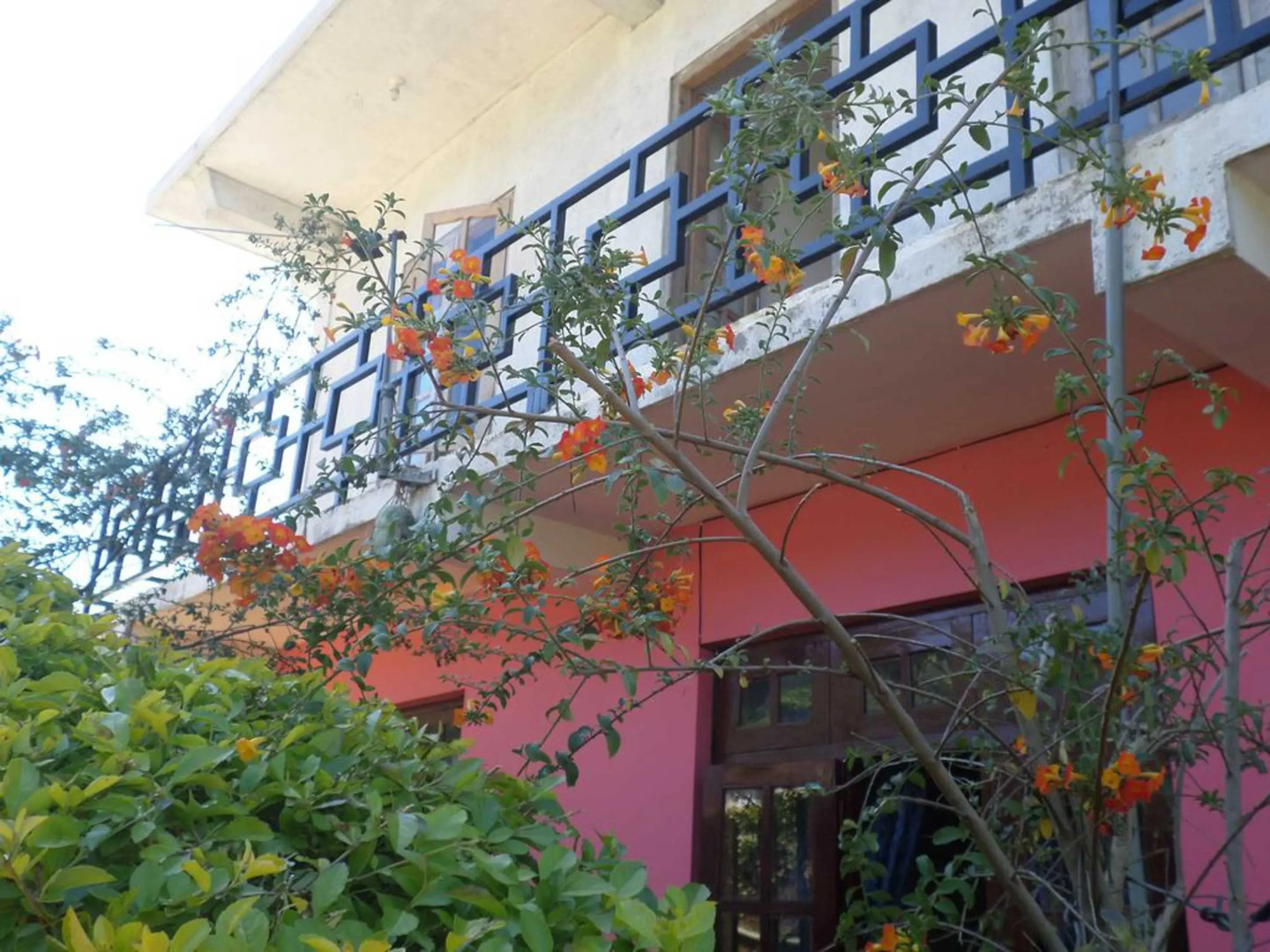 Гостевой Дом Yoho The Train View