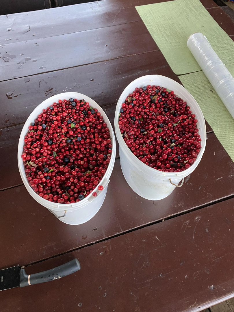 Гостевой дом Дом в Карелии