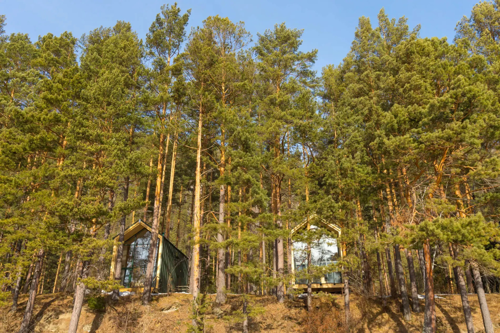 Отель Натура Эко