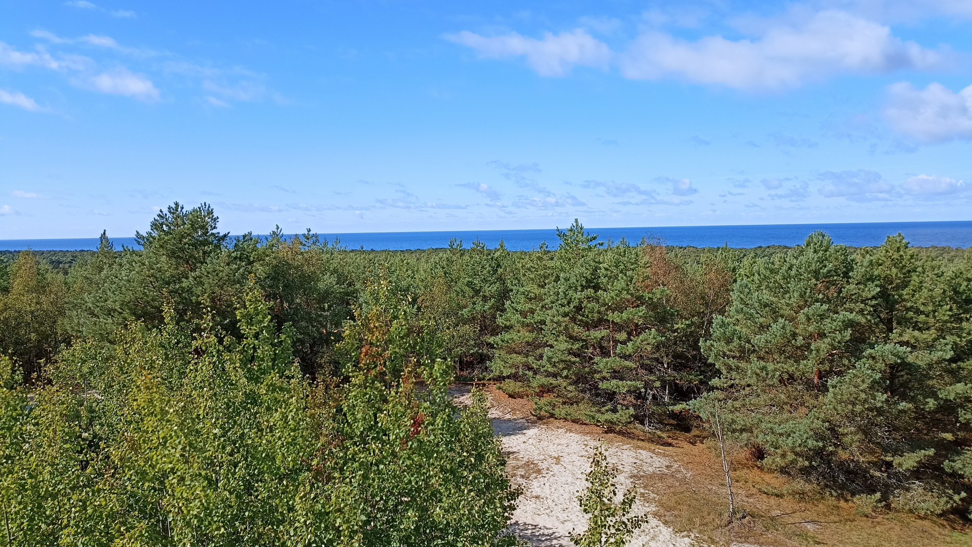 Апартаменты на Сибирской