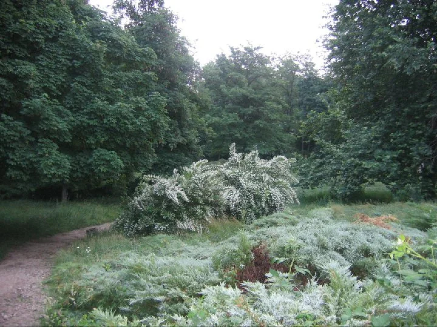 Отель Чинар