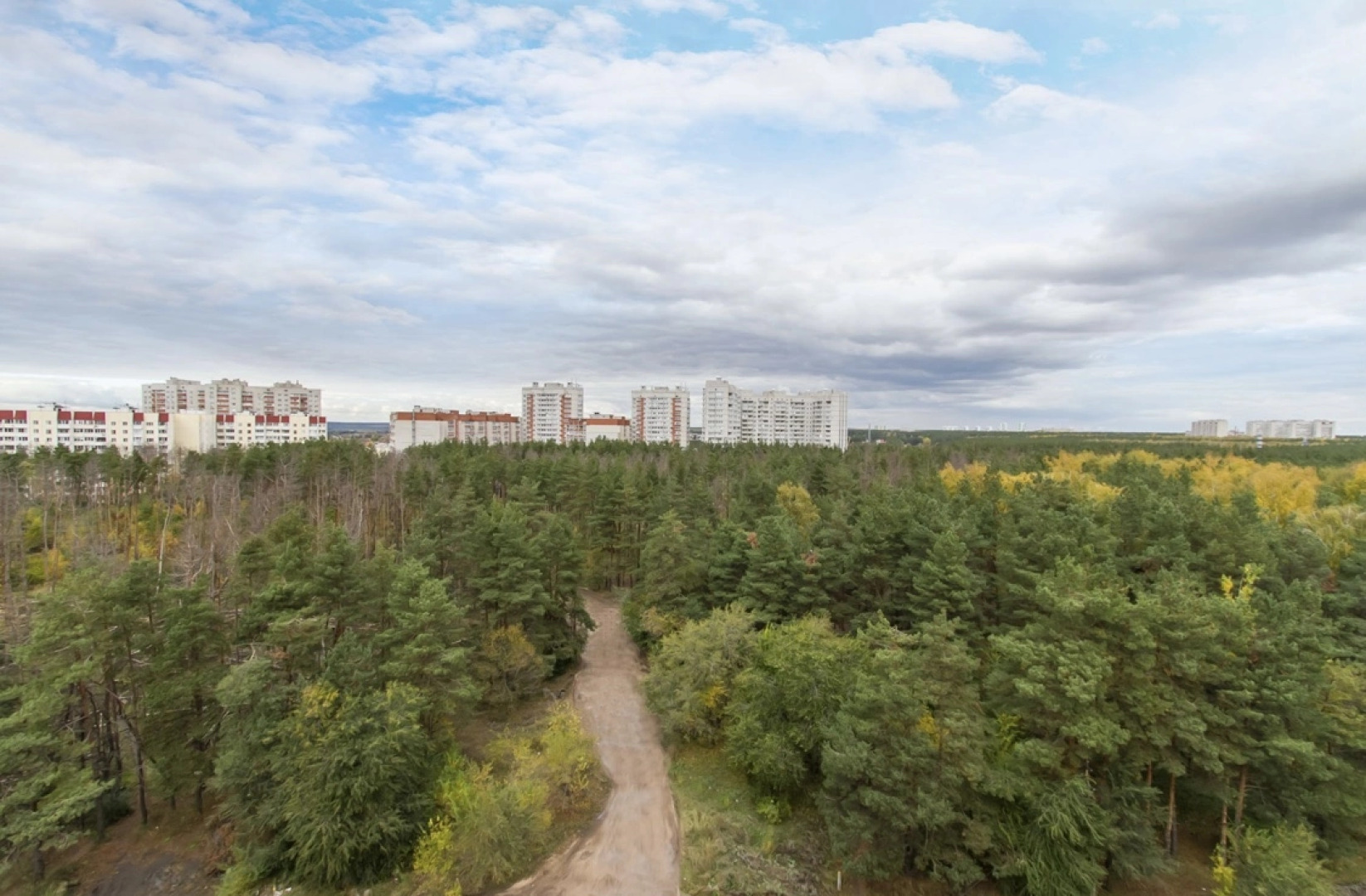 Апартаменты Рядом с Лесом