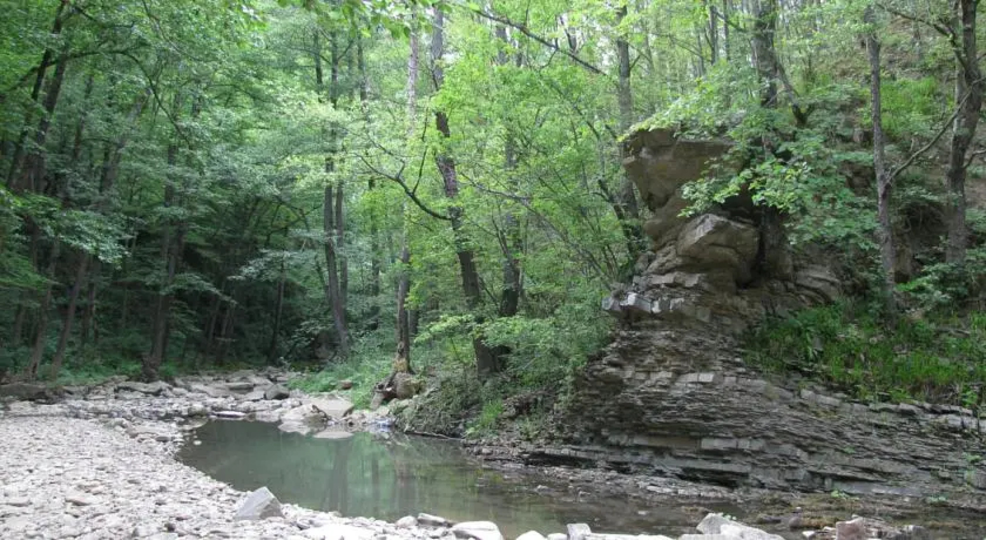 Отель Собер