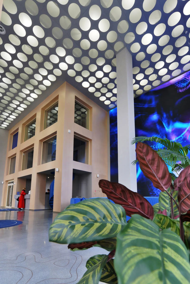 Апартаменты на Радищева 41