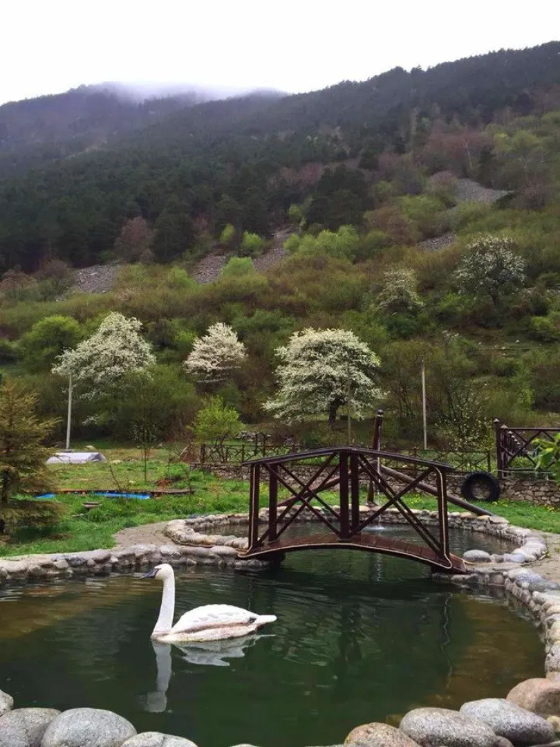 Мини-Отель Арфа