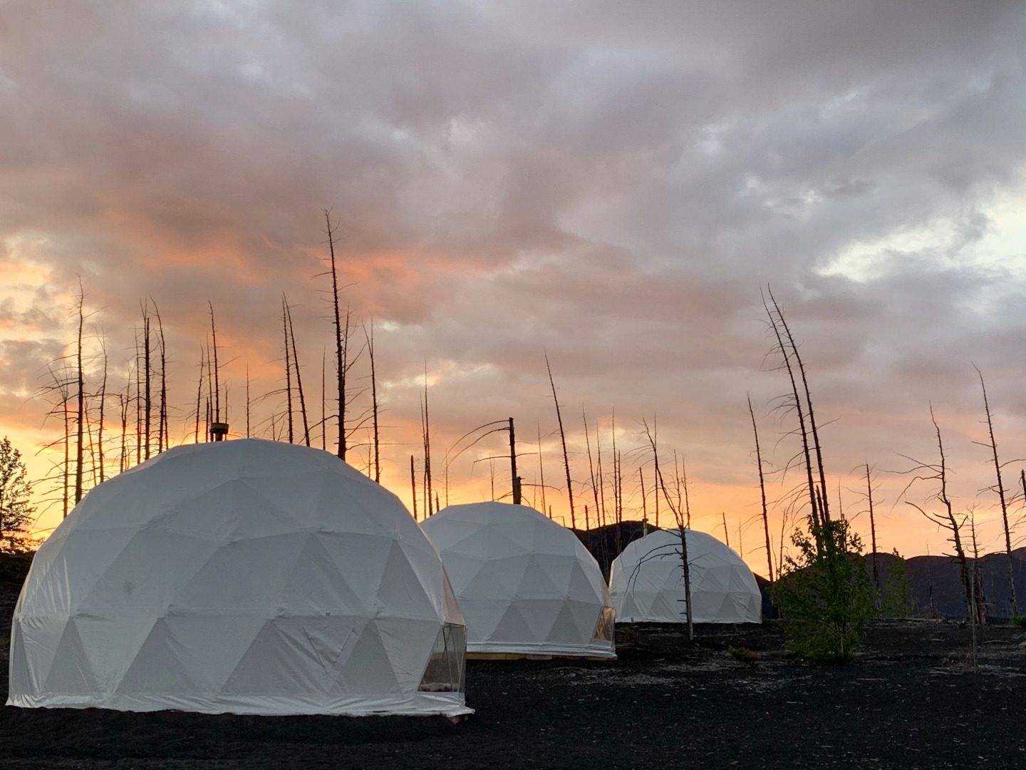 Глэмпинг TolbachikCamp