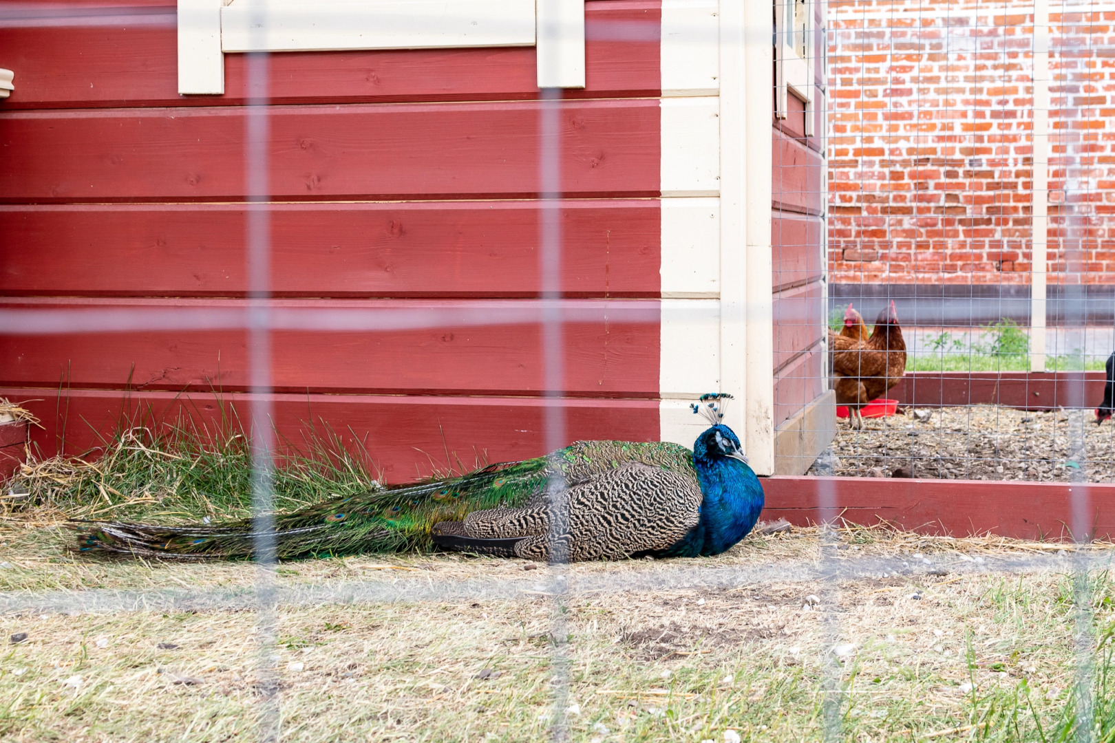 Бутик-отель Кунак