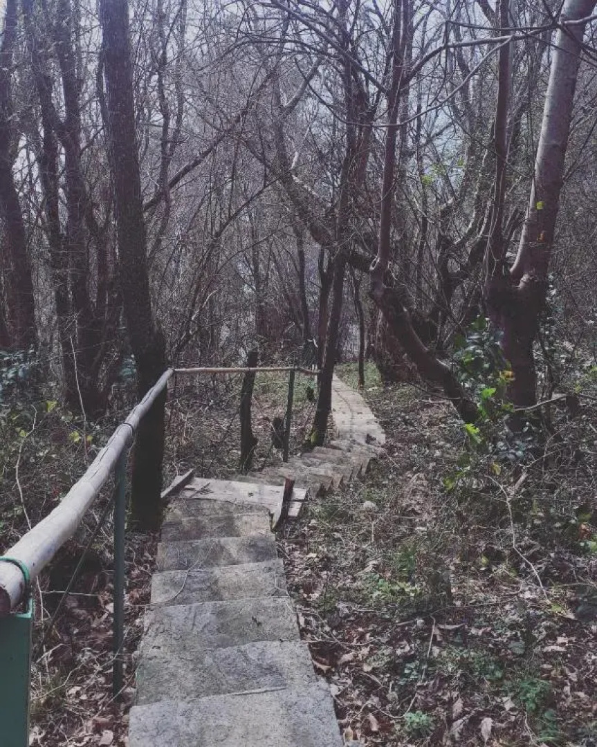 Мини Отель Багрыпста