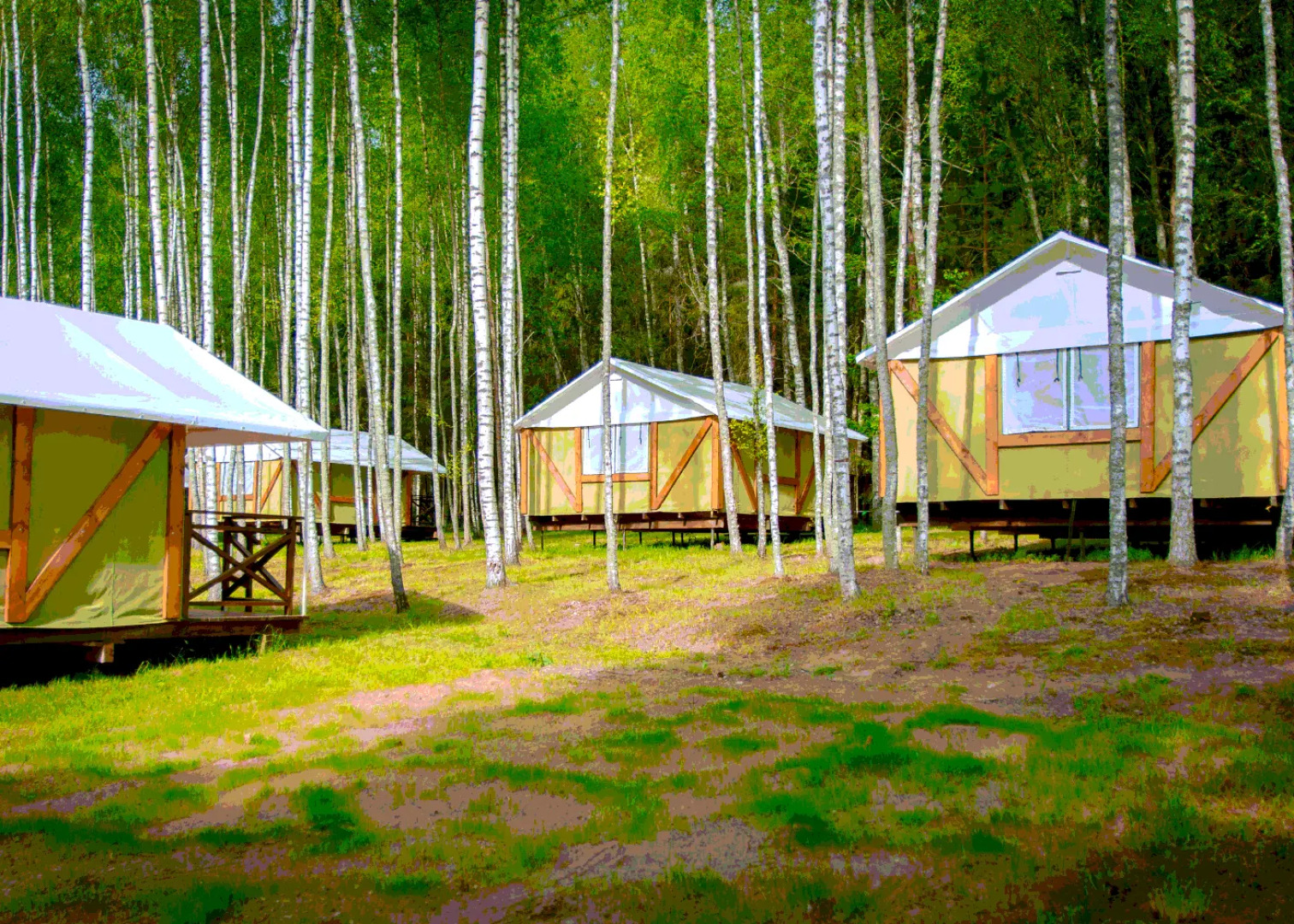 Кемпинг Кот и Дуб