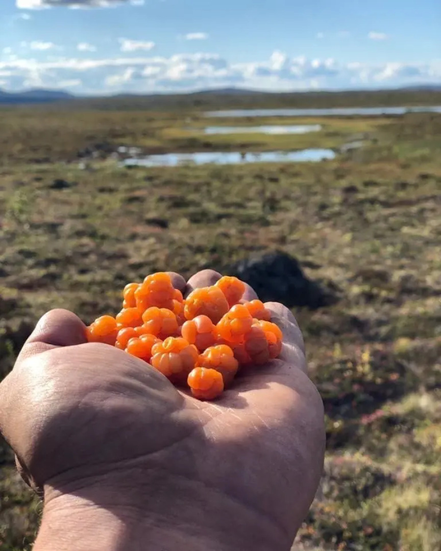Гостевой дом усадьба Канентъявр