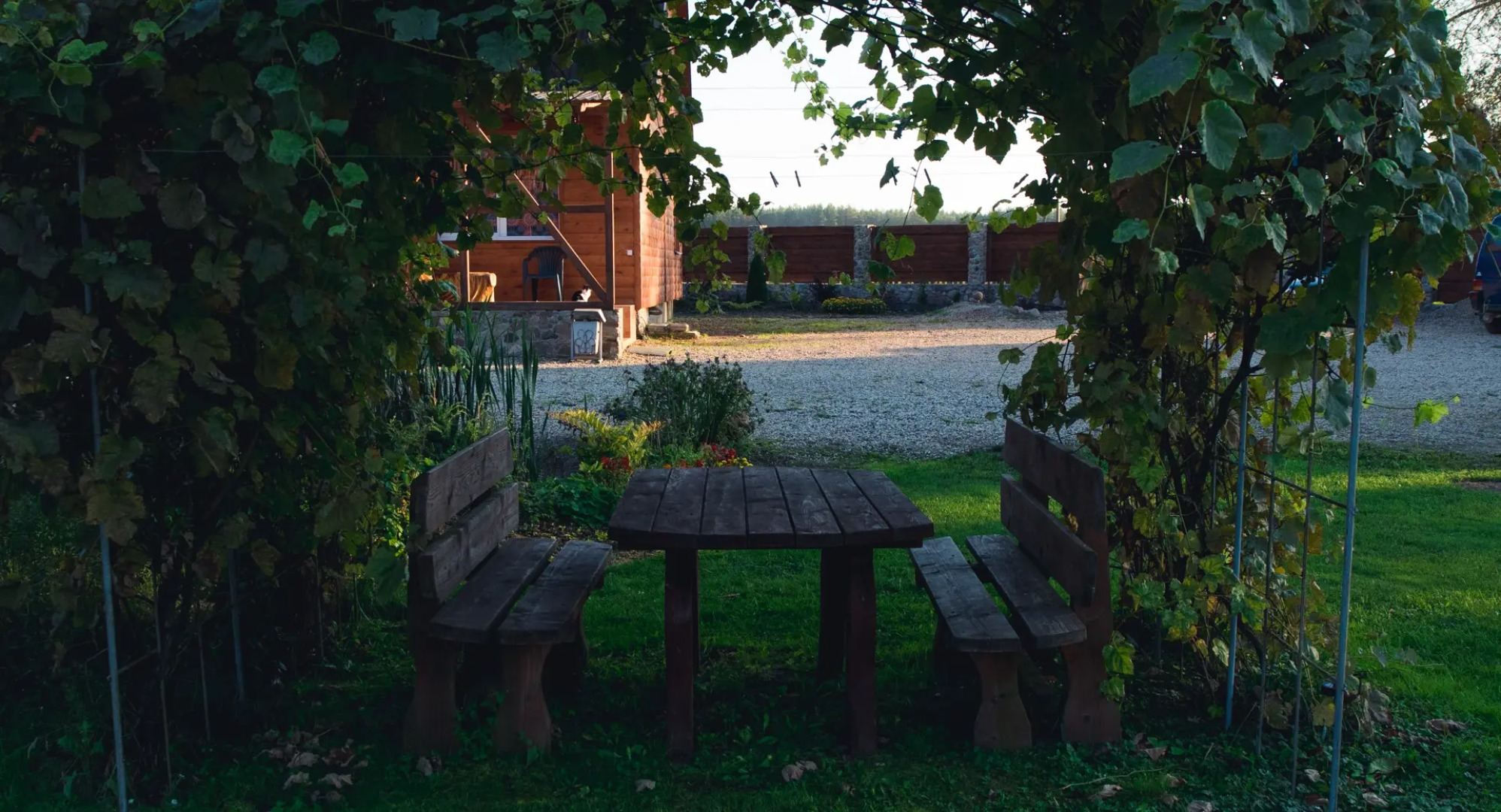 Гостевой дом Мечта в Беловежской Пуще