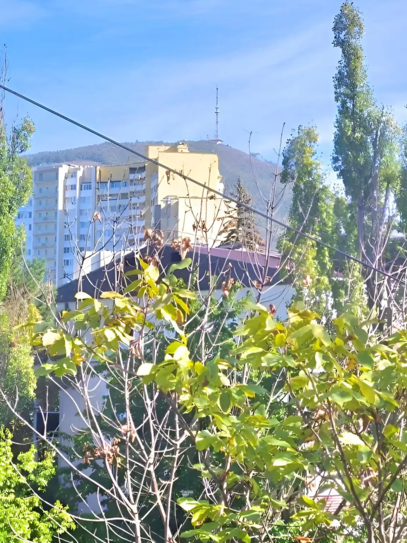 Квартира DeLuxe