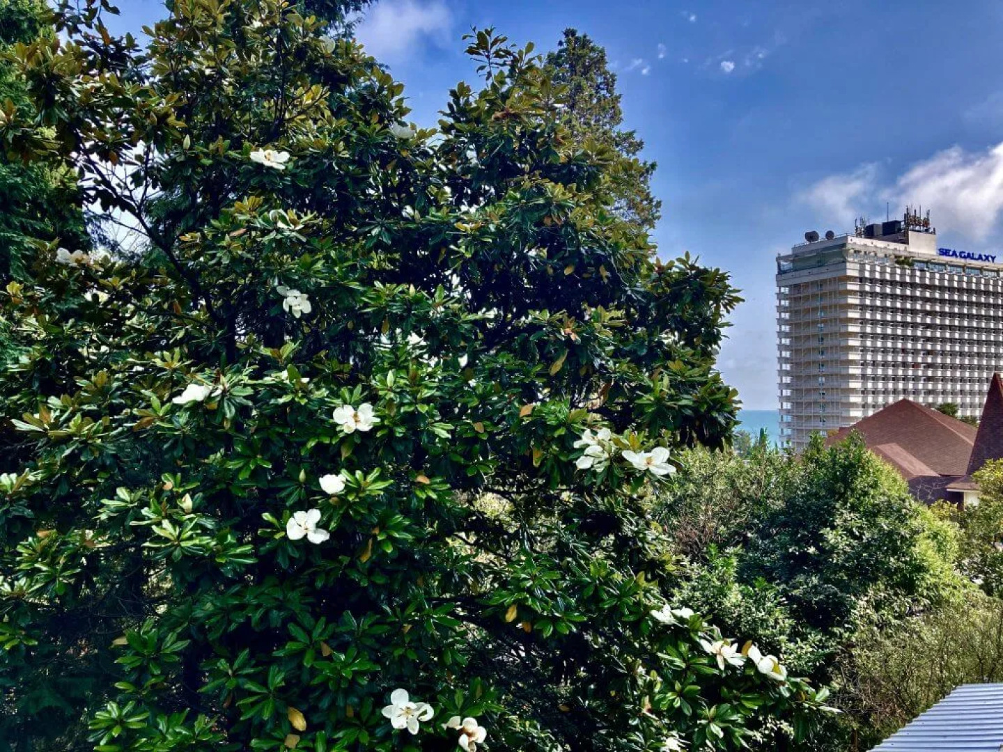 Апартаменты Светлана-Центр с видом на море и восток