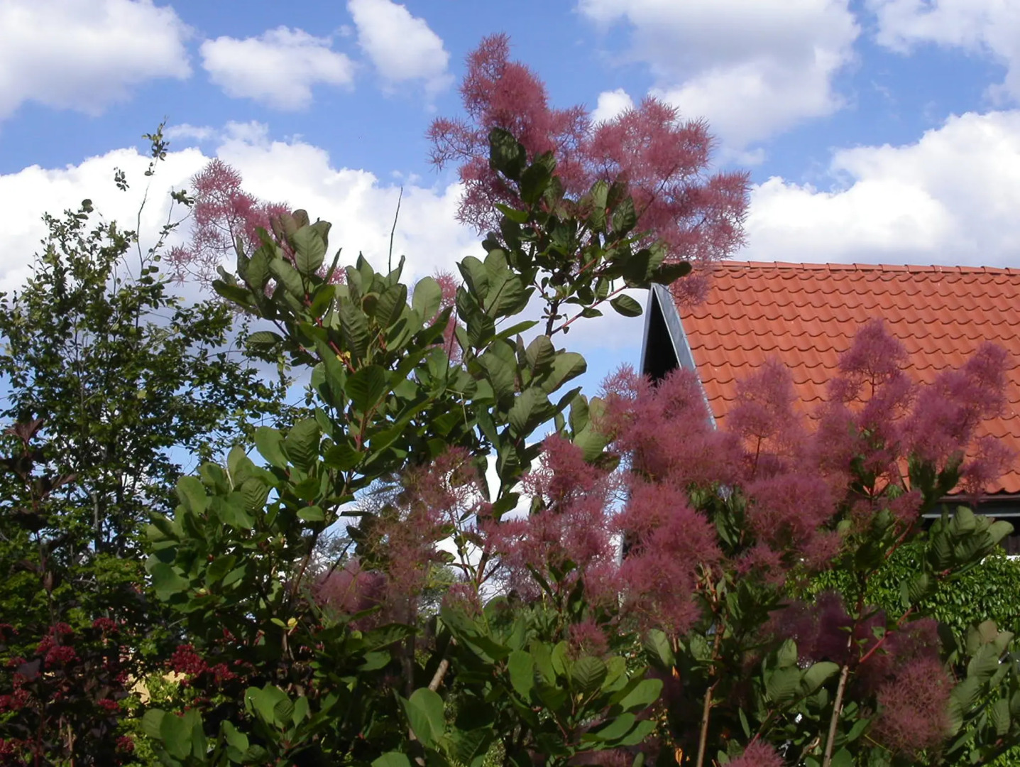 Вилла Reglówka