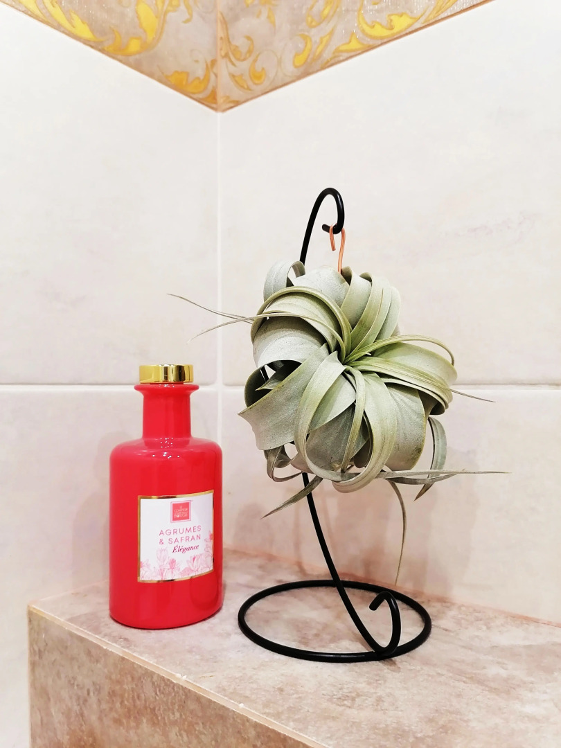 Однокомнатные апартаменты Зеленоградск Кранц Парк