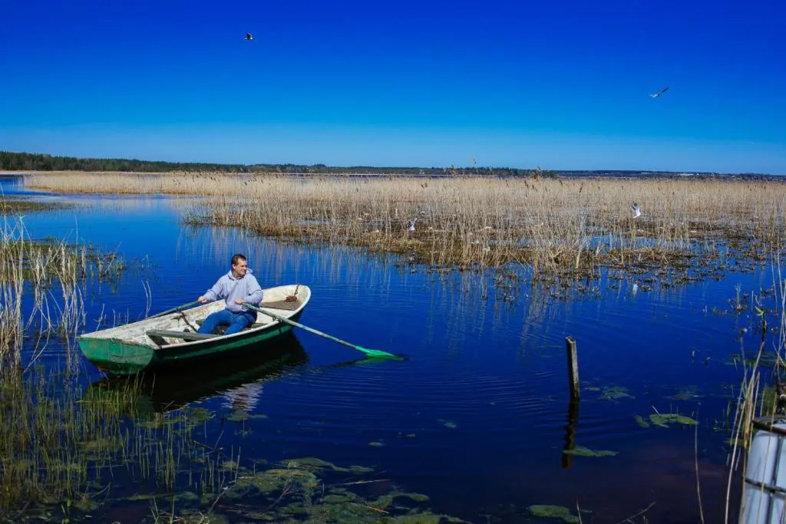 Гостевой дом Уютный дворик