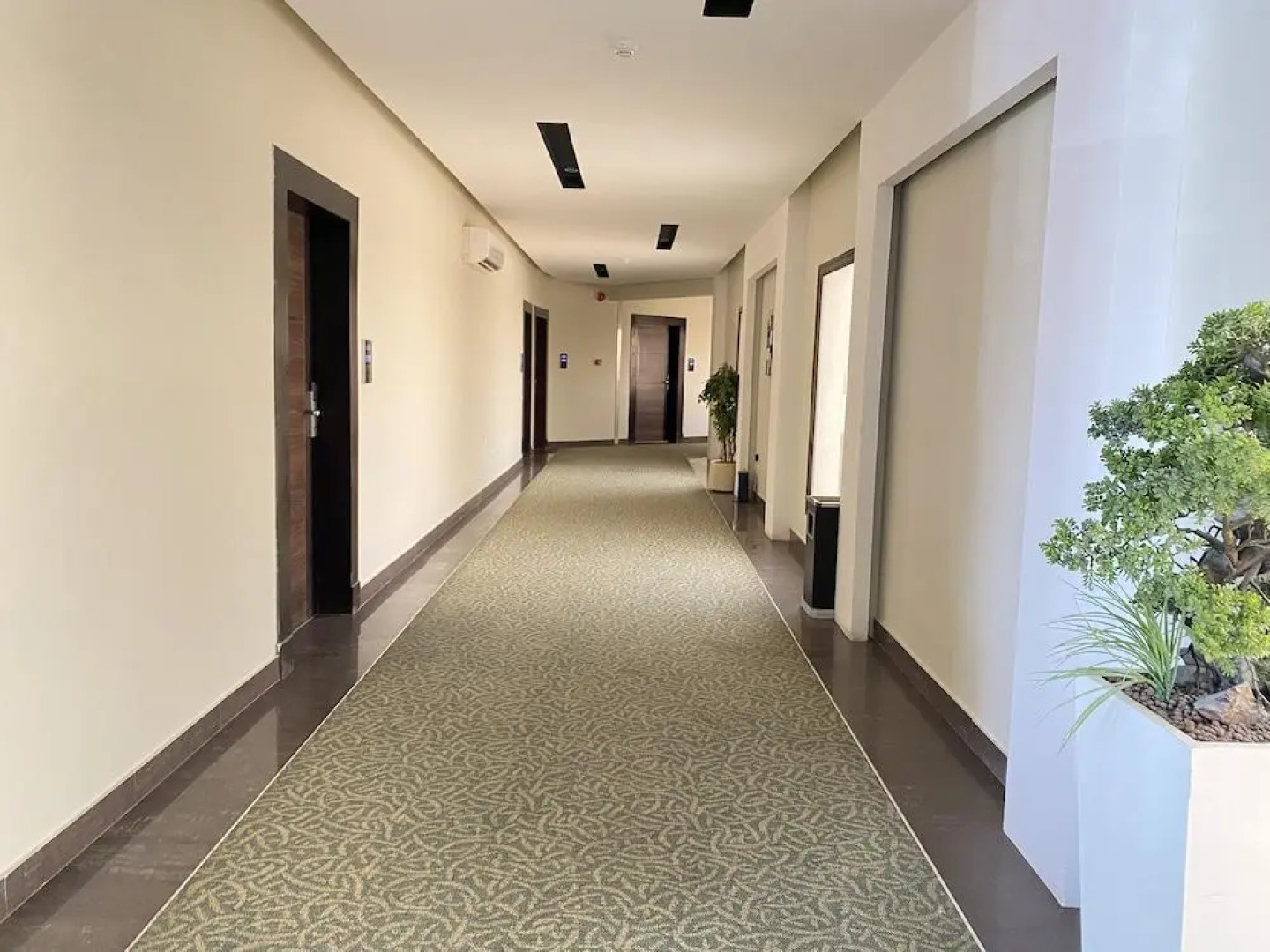 Отель Triple Tree