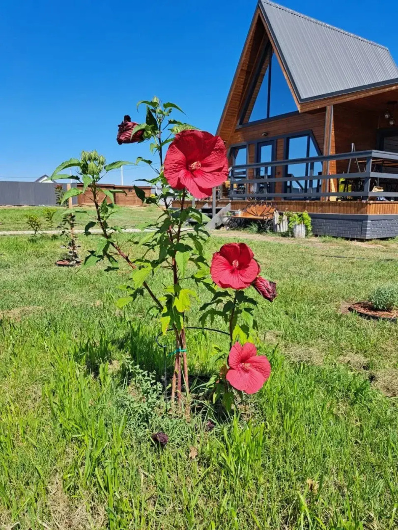 Гостевой дом Таловиночка