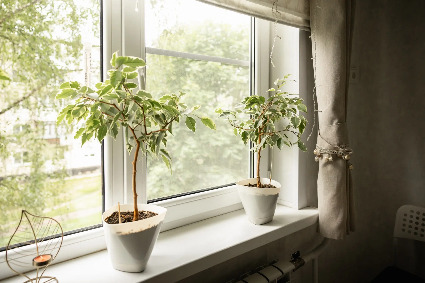 Квартира Подходящая двушка в центре