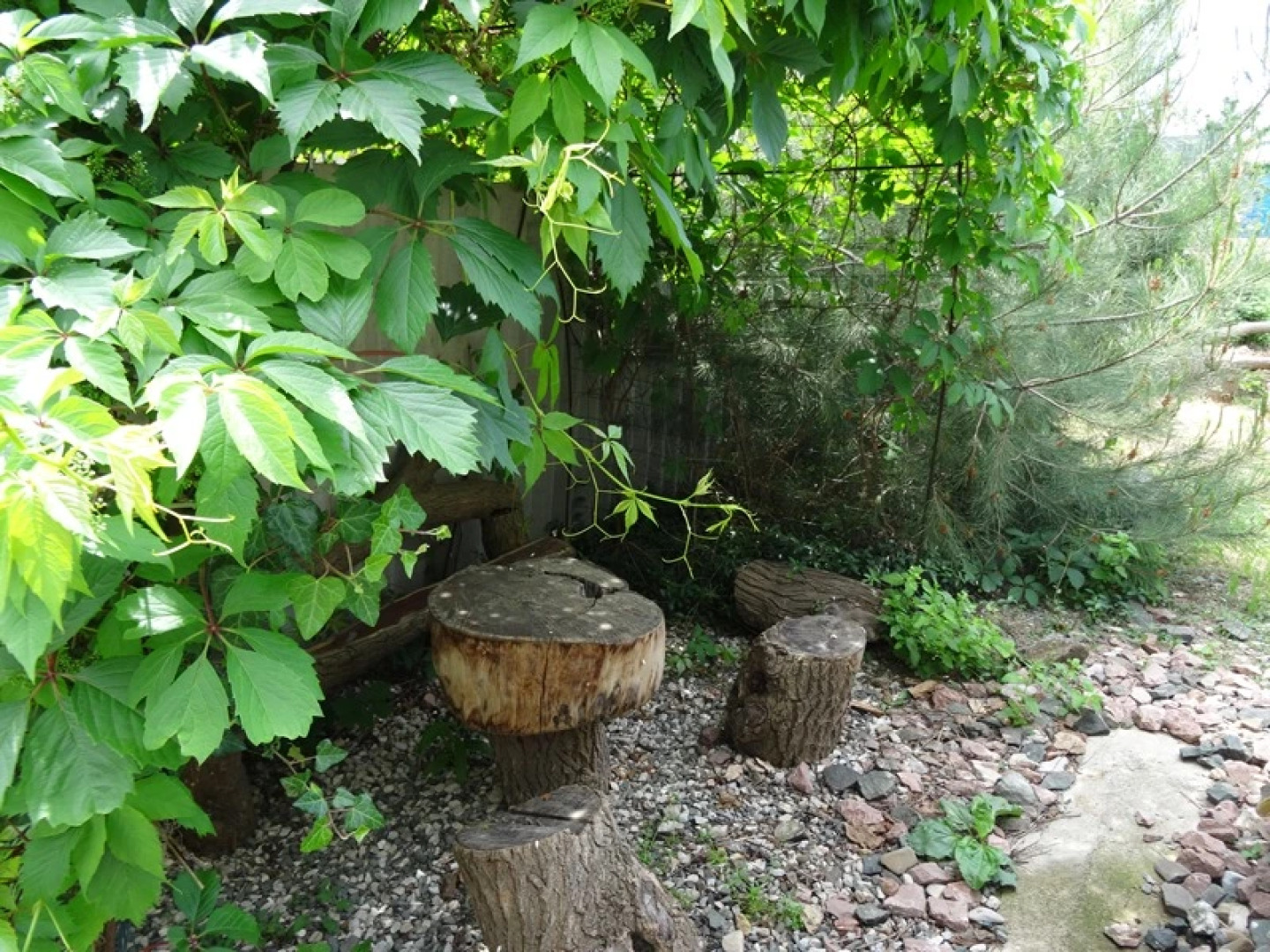 Гостевой Дом Адель Николаевка Крым