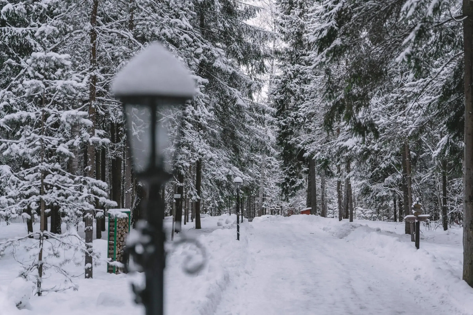 Отель Истра Холидей