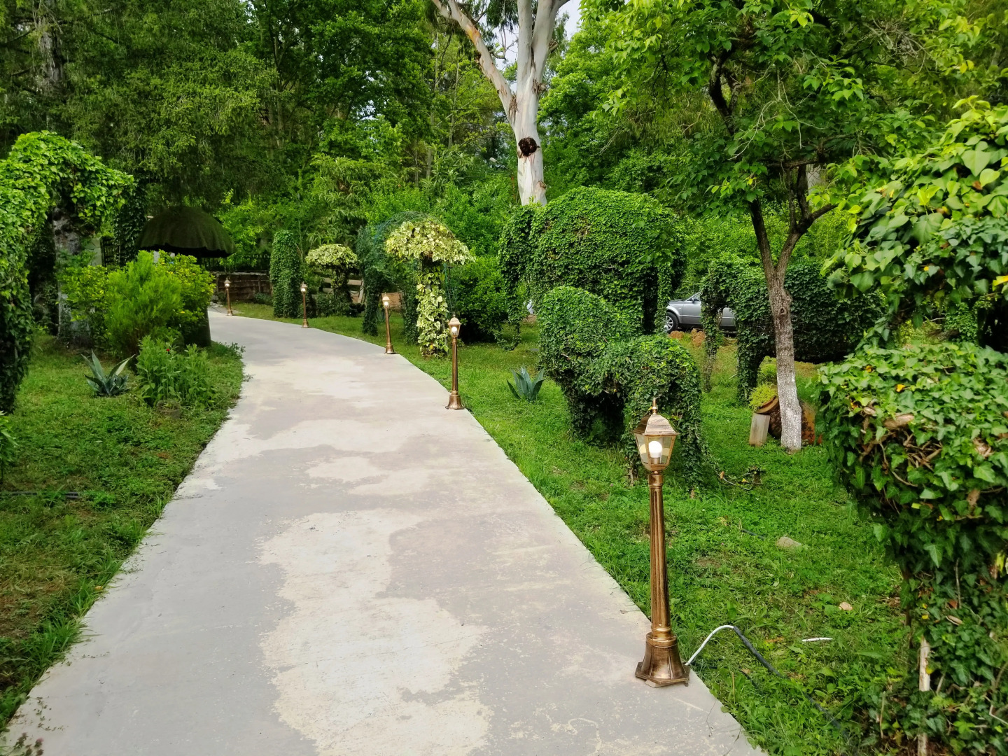 Отель Вита Гардения Цхалтубо