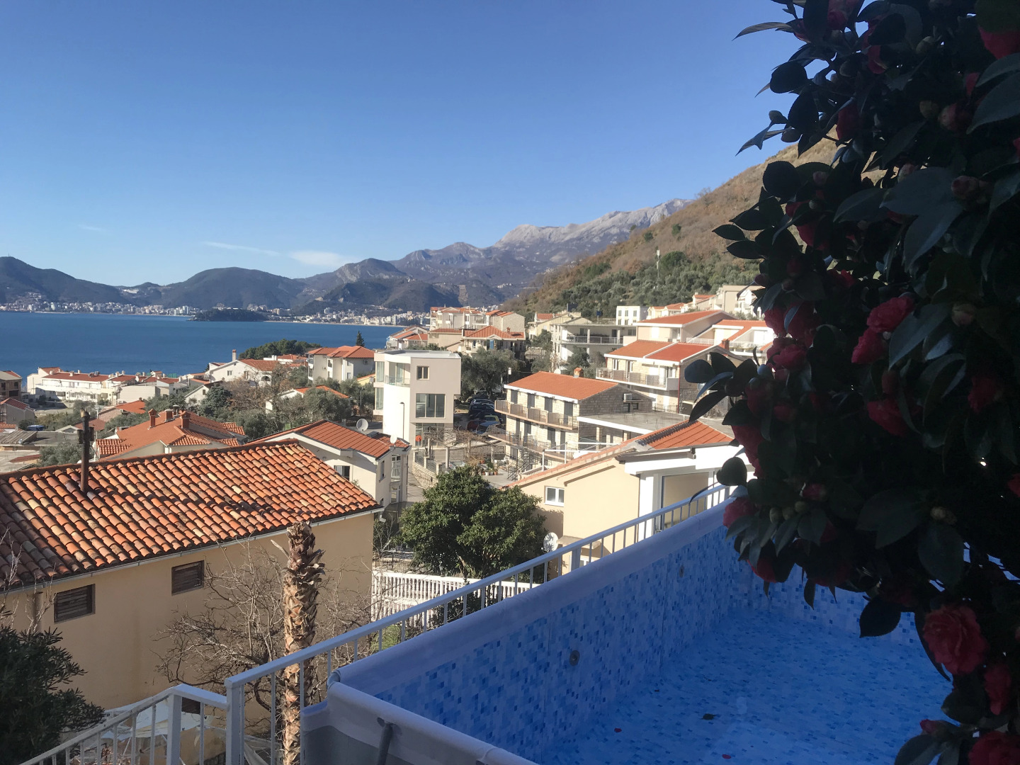 Апартаменты Aleksandar