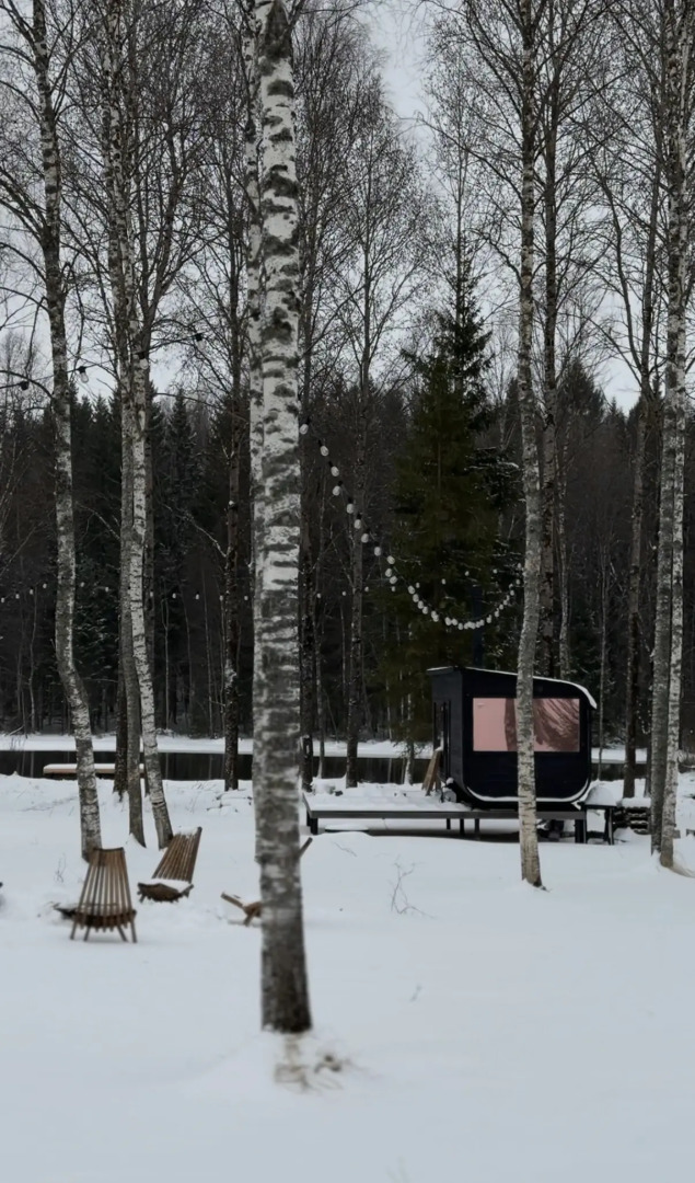 Частный дом BIRCH на Берёзовой 2