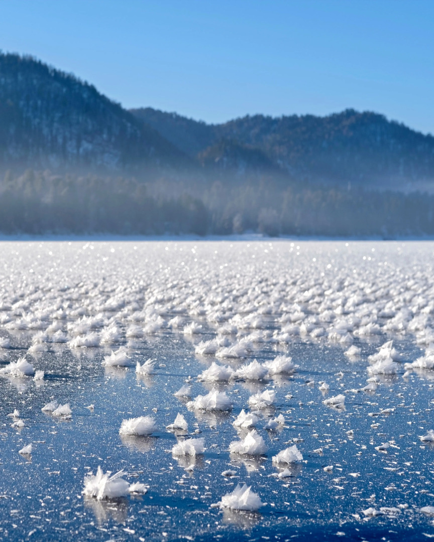 Гостевой дом Шале Телецкое