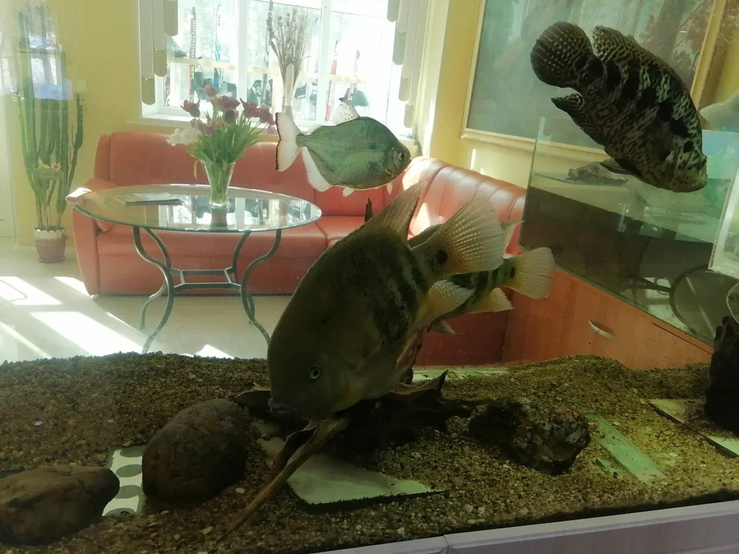 Санаторий-профилакторий Кошкуль