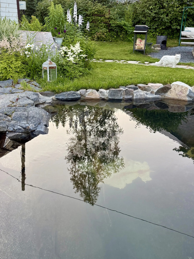 Частный дом Family house