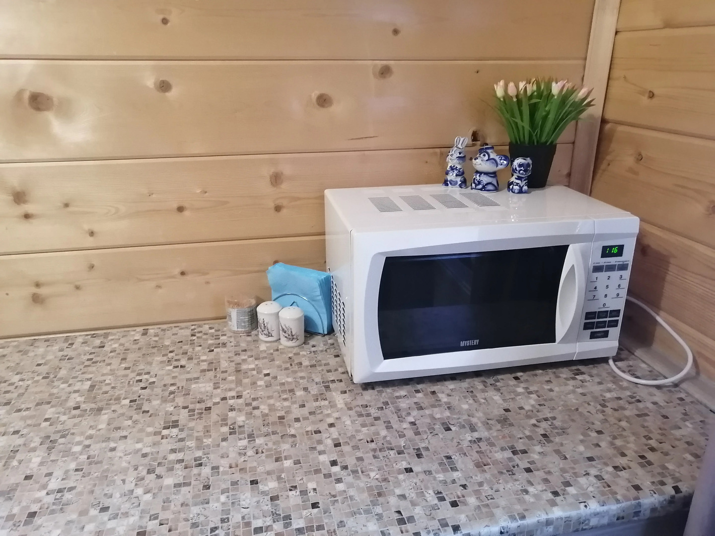 Частный дом у Яблоньки