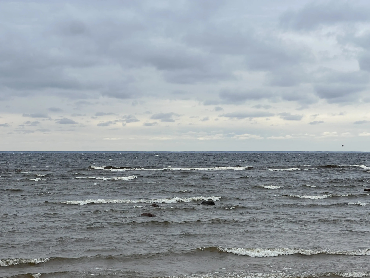 Частный дом Брусничная 21