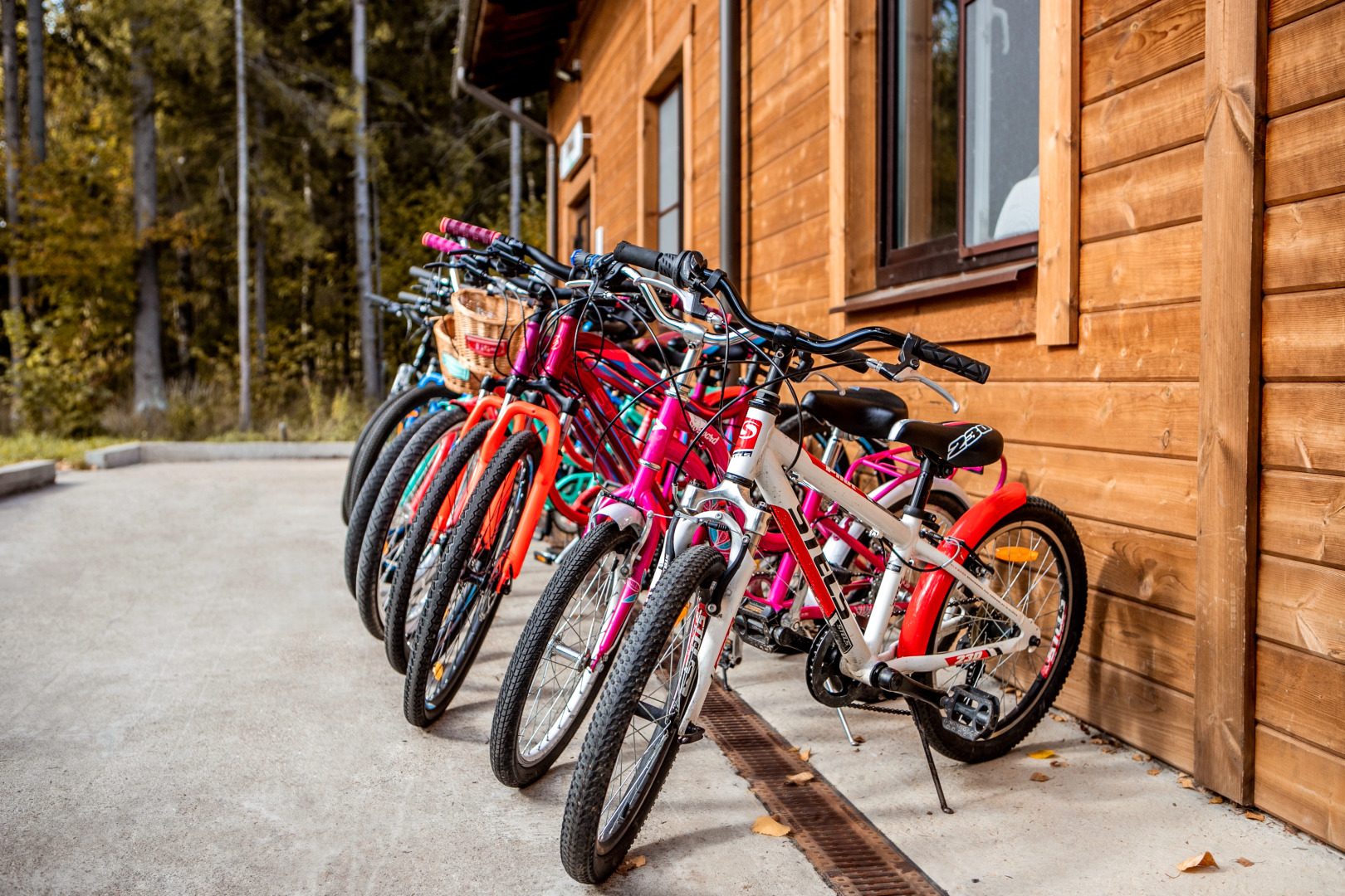 Cosmos Collection Izumrudny Les Hotel