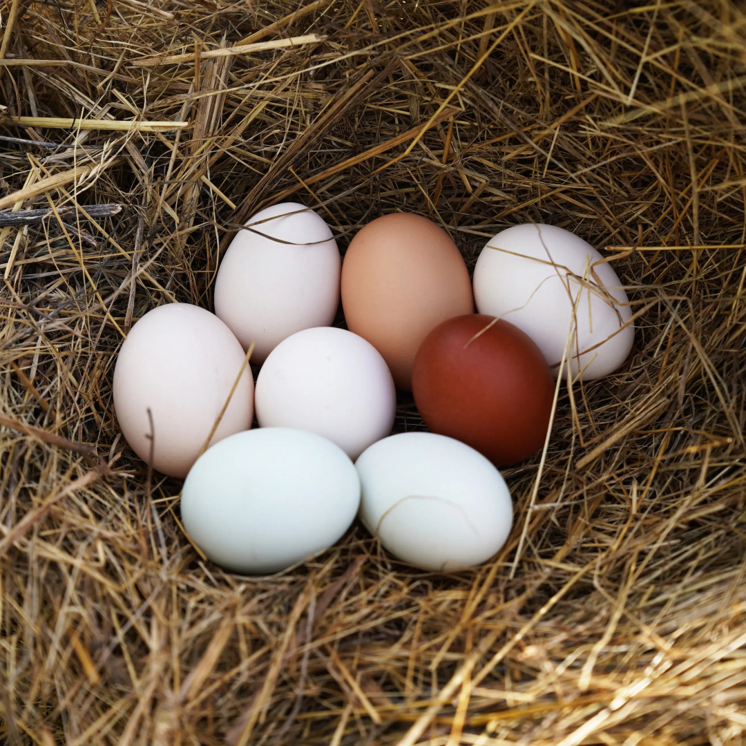 Дом Уютный в стиле Прованс