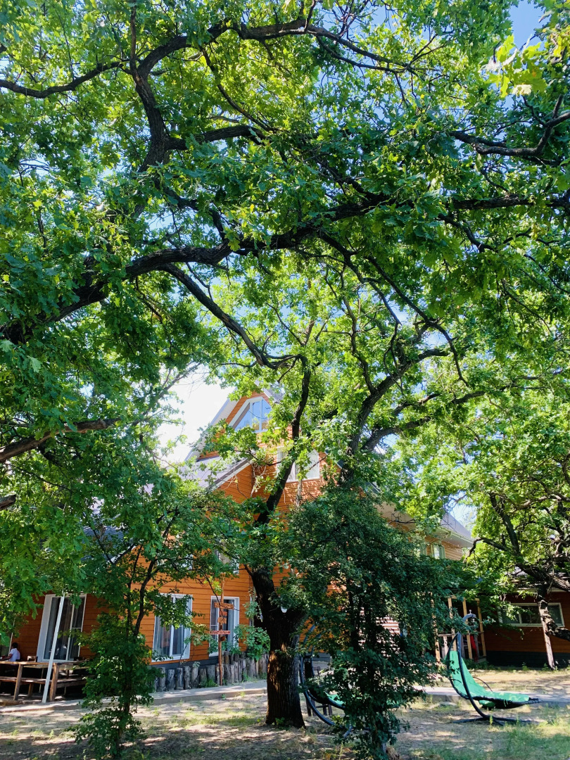 Парк-Отель Риверсайд