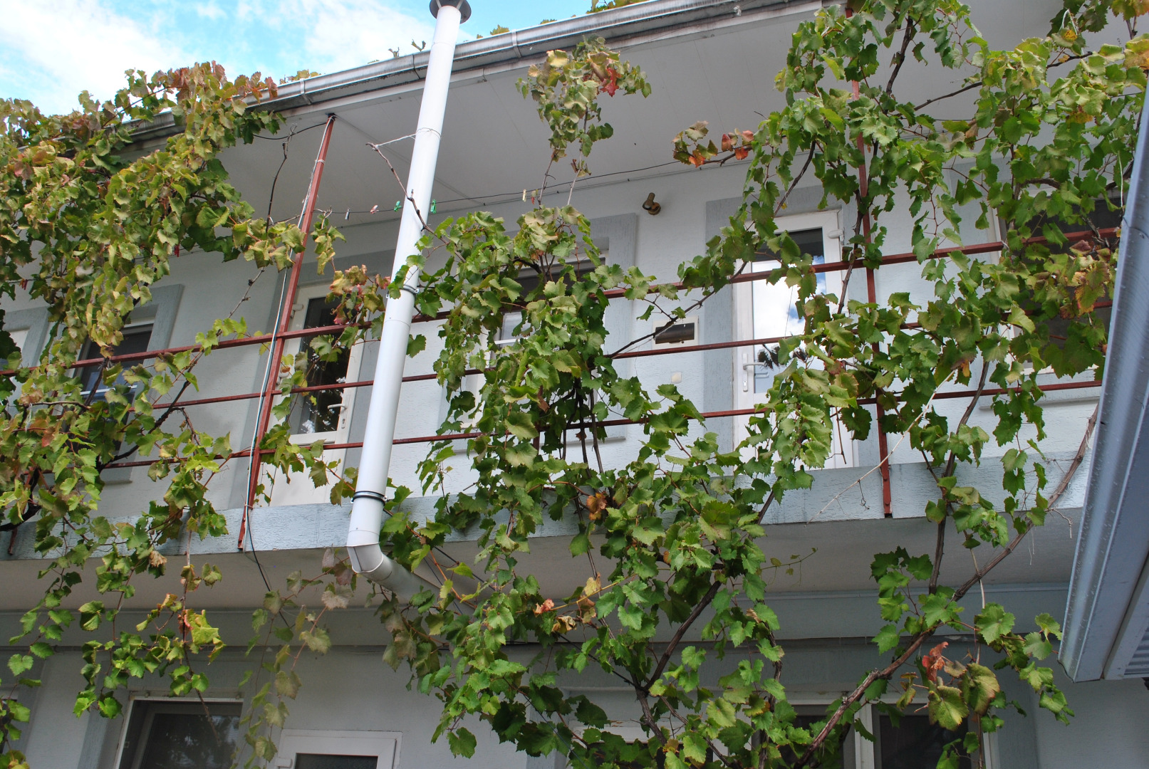 Гостевой Дом На Колхозной