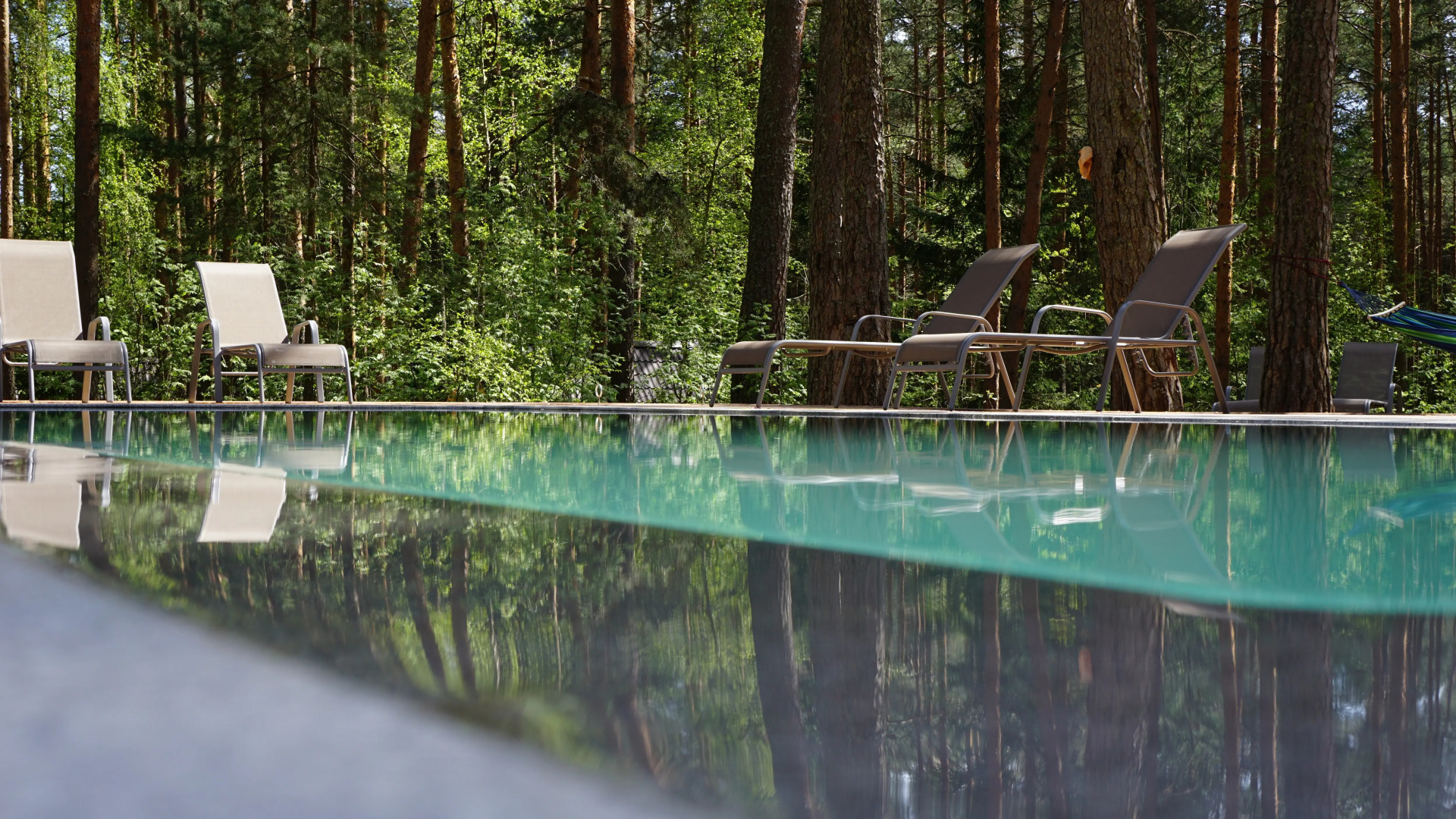 База отдыха Орша Ривер Клаб