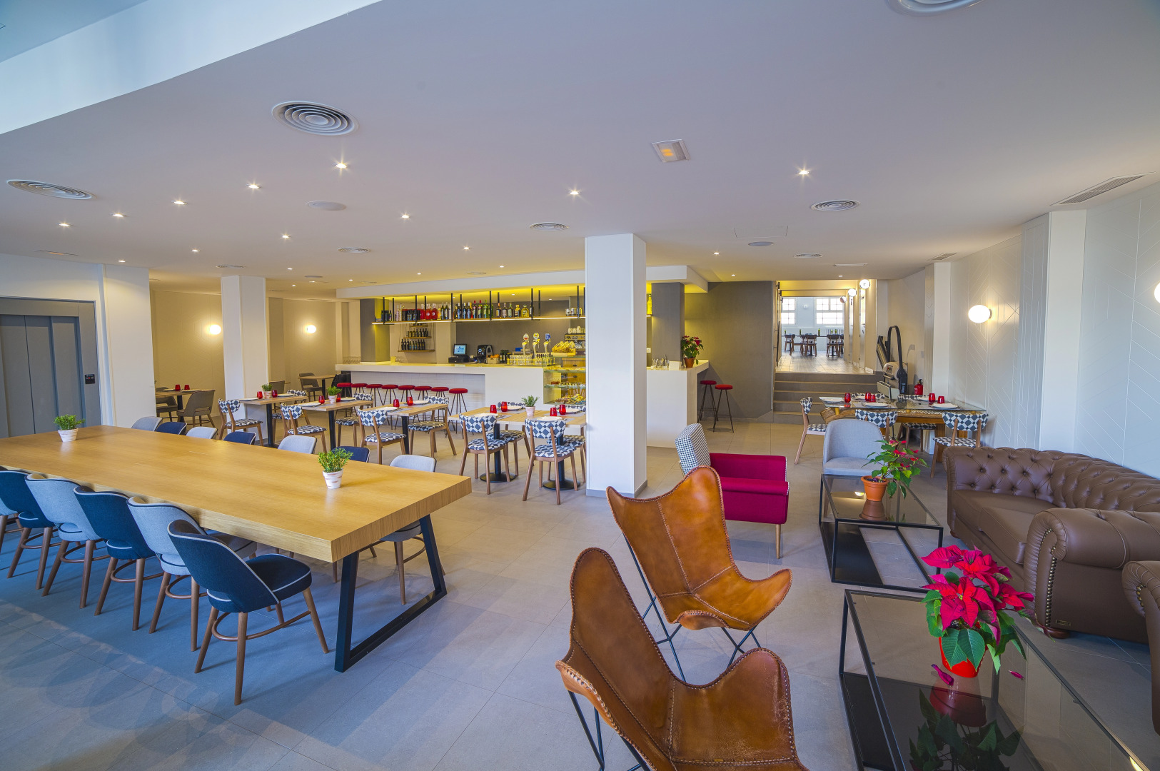 Hospedium Hotel Cañitas Maite Gastronómico