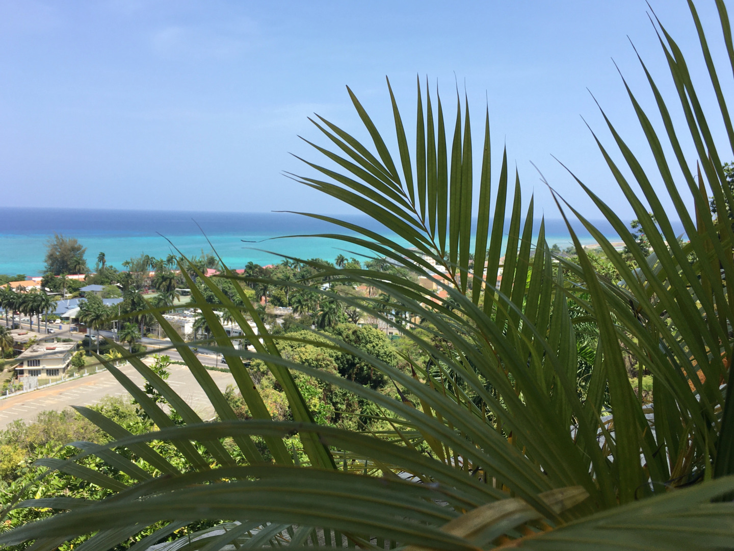 Отель Big Apple