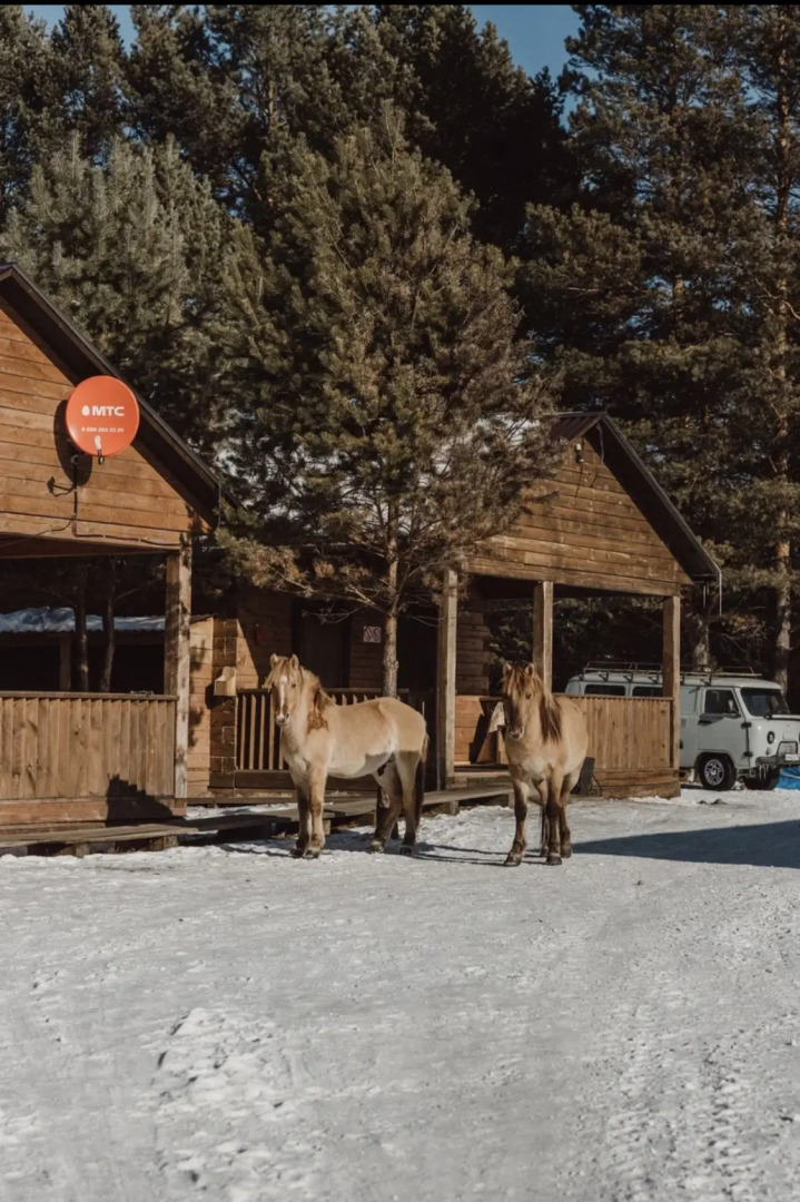 База отдыха Шинки