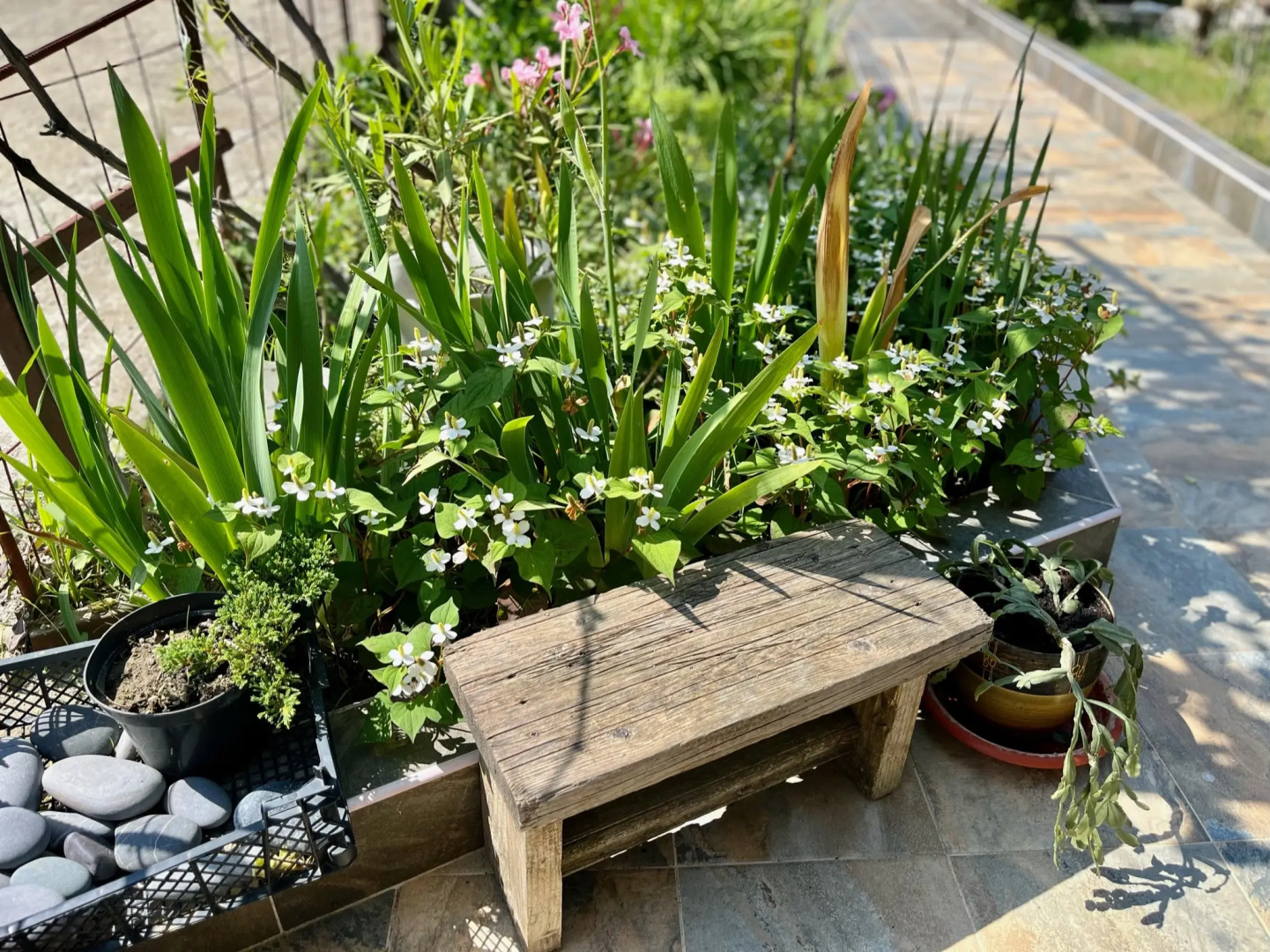 Гостевой дом Солнечная долина коттеджи Гости-24