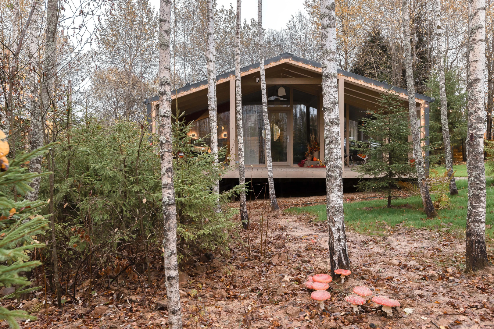 Частный дом Chalet Forest