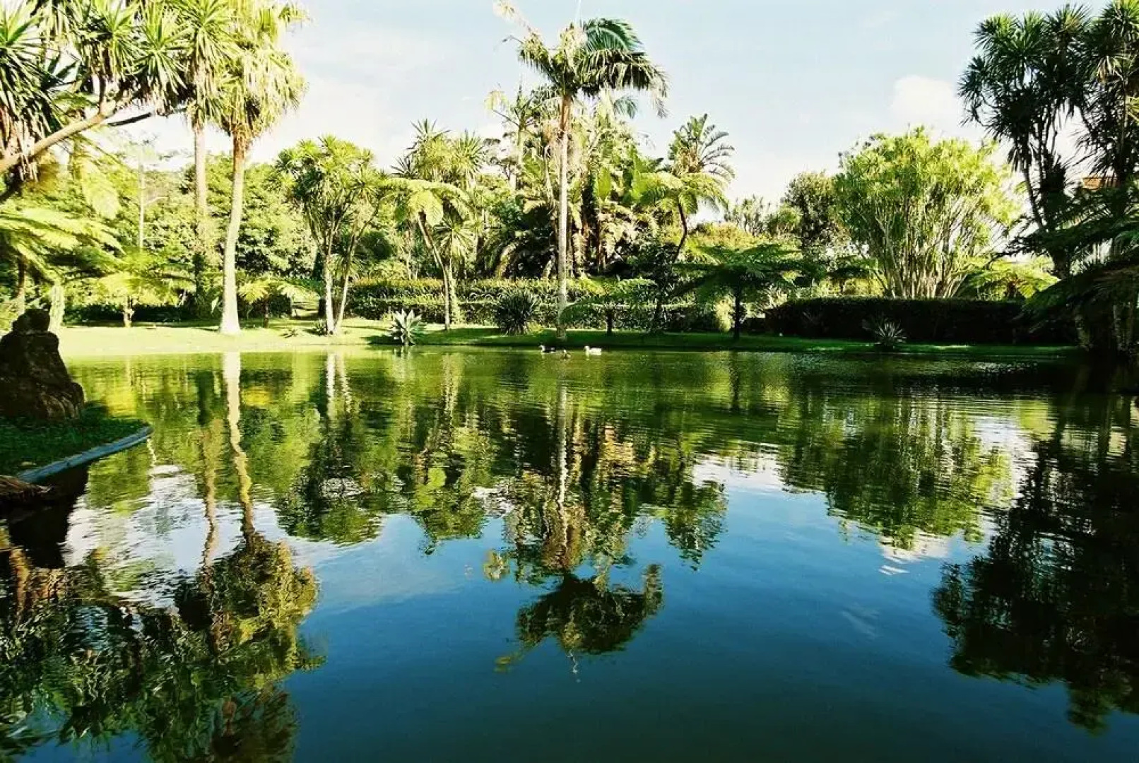 Отель Quinta da Nasce Agua