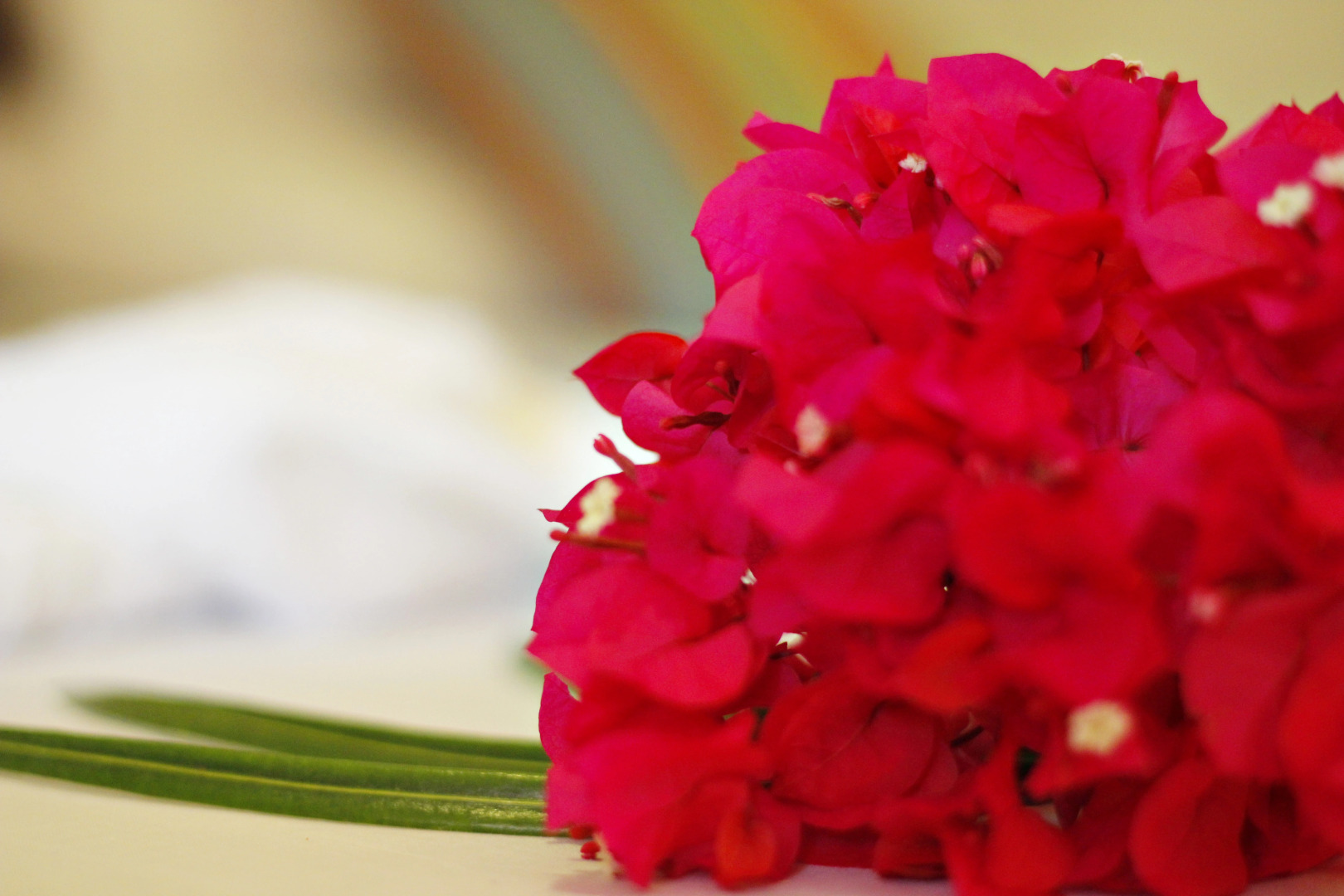 Отель Aya Beach Bungalows