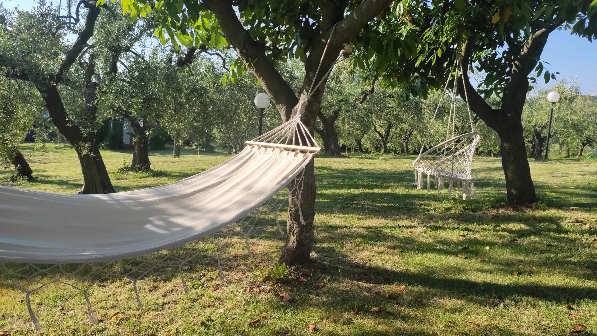 Tenuta San Savino delle Rocchette