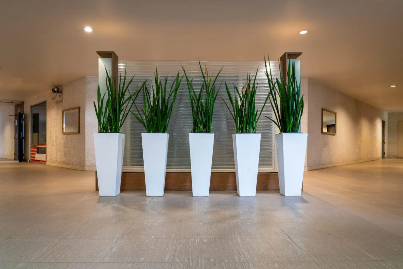 Отель Tropicana 