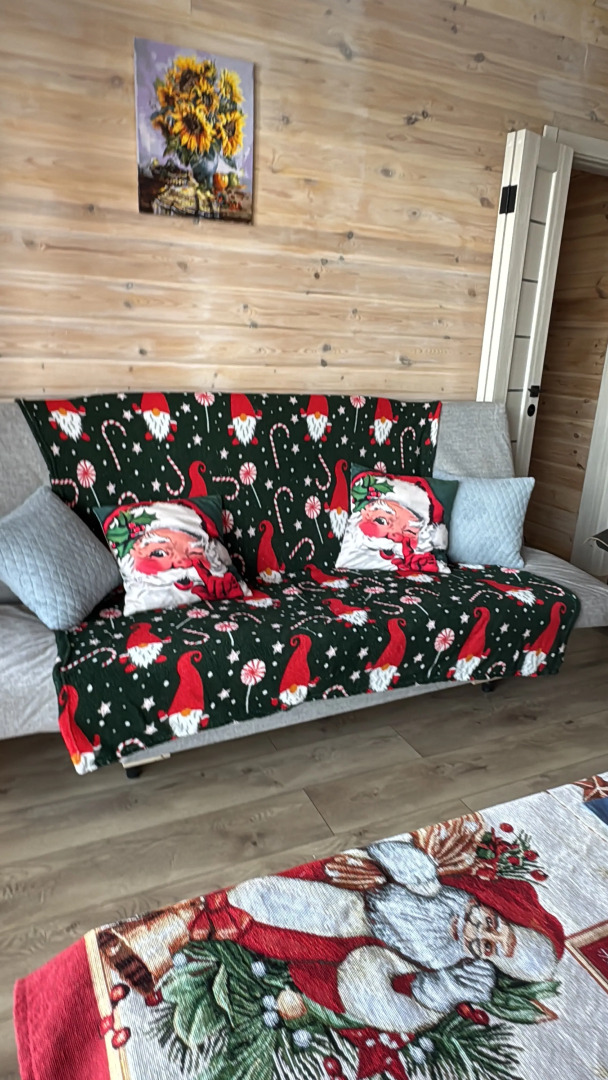 Частный дом Ковчег